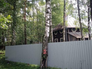 Лесники Раменского очищают леса от сухостоя и упавших деревьев