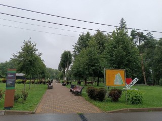В Подмосковье температура опустится до +7: синоптик Ильин дал прогноз погоды