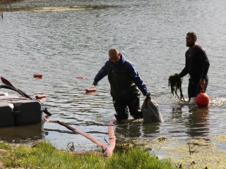 Пруд «Южный» очистили от мусора с помощью водолазов