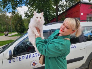 Кот Беляш первым получил прививку от бешенства на бесплатной акции в Солнечногорске