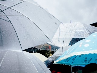 Аномальная неделя тропических ливней убьет лето за несколько дней