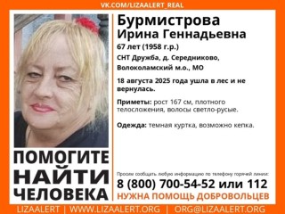 В лесу под Волоколамском пропала пенсионерка