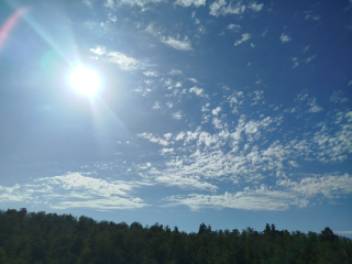 Потепление до +30° в последний день августа спрогнозировали синоптики в Подмосковье