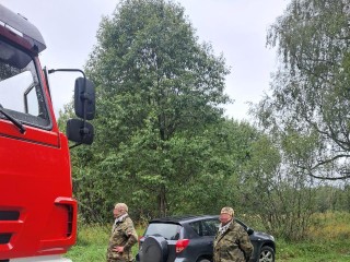Спасатели помогли выбраться из леса в Можайском округе двум пожилым людям
