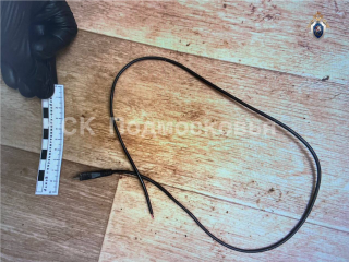 Спор из-за долга: что известно о жителе Можайска, который задушил друга зарядкой от телефона