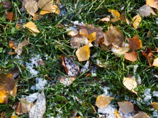 Снег, ливни и до +5°C: назван день, когда в Подмосковье придет холодная осень