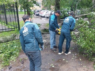 В Реутове обсудили ликвидацию последствий шторма и подготовку к зимнему периоду