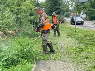 Высокую траву вдоль дорог покосят в Лосино-Петровском до 22 августа