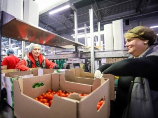 В тепличном комплексе Каширы собрали самый большой урожай овощей в Подмосковье