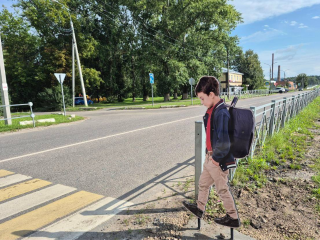 В Домодедове на пешеходных переходах поставили пластиковые фигуры детей