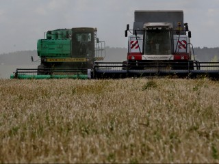 Олег Сирота попросил отсрочку по кредитам для пострадавших от засухи на юге России
