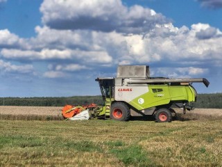 В Луховицах аграрии устроили с погодой битву за урожай озимой пшеницы