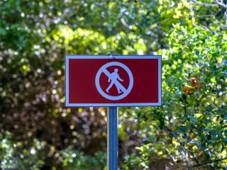 В Ногинске выбирают наказание для нудиста, обосновавшегося на детской площадке