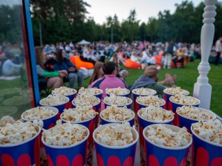 Вечер семейного кино: в Одинцовском парке покажут мультфильм «10 жизней»