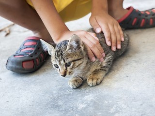 В Химках подросток спас маленького котенка, провалившегося в подвал заброшенного здания