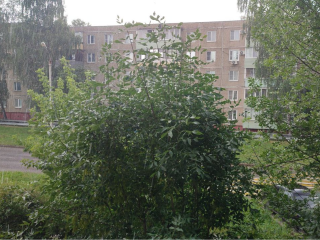 Передышка на один день: синоптик Тишковец спрогнозировал резкую смену погоды в Подмосковье