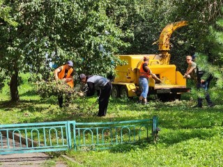 Рабочие управляющей компании измельчили сломанные грозой ветки