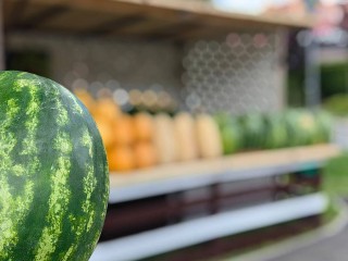Продавец арбузов из Пушкино рассказал, как выбрать самую спелую и сладкую ягоду