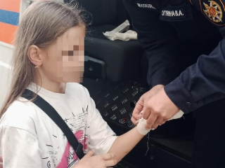 Спасатели помогли девочке, которой зажало пальцы дверью домофона в Дмитровском округе