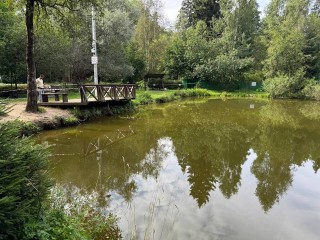 Экологи взяли пробы воды для определения причин гибели рыбы в Мытищах