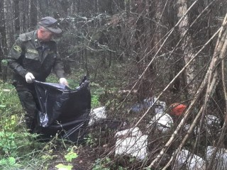 Под Тимшино лесничие убрали свалку в лесу