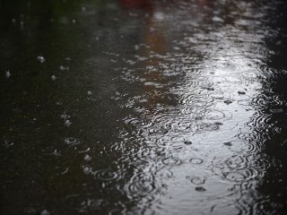 Жителей Подмосковья предупредили о дожде и резком похолодании ночью