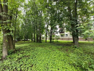 На Парковой улице спилят сломанные ветки деревьев