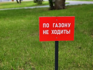 Обновленный сквер Бугрова открыт в Ногинске накануне Дня Богородского округа