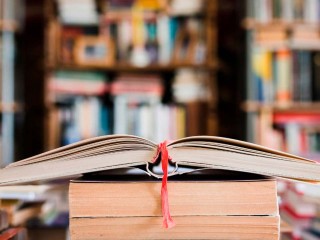 Глава Солнечногорска запустил книжный флешмоб