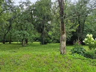 В Кашире окосили территорию около дома на Советском проспекте по просьбам жителей