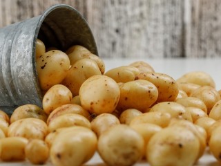 Как выбрать идеальный картофель: советы для жителей Подмосковья