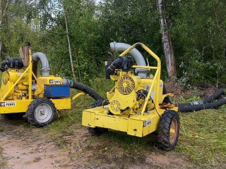 Дамба уцелеет: власти начали откачку воды в затопленном лесу под Звенигородом