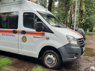 Спасатели помогли собаке, застрявшей на островке суши в заболоченном лесу в Талдоме