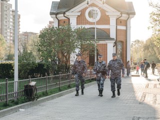Щелковские полицейские раскрыли 80 % преступлений, совершенных в августе