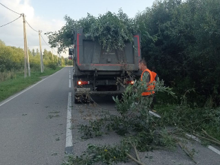 В Большом Карасеве опилили деревья по просьбам жителей