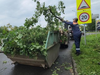 В Серпухове у школы №2 подрезали деревья для безопасности детей перед началом учебного года