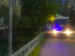 Пожарные ликвидировали возгорание в многоквартирном доме в Чехове