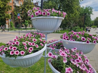 Фестиваль красок и пенная вечеринка: в сквере на Молодежной организуют городской праздник