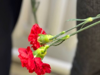 Родным участников СВО в Можайске готовы помочь в самом трудном вопросе