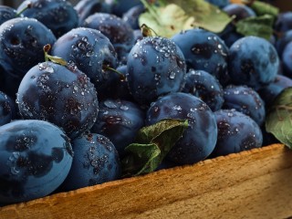 Что посадить и когда собрать: лунный календарь садовода на первую неделю сентября
