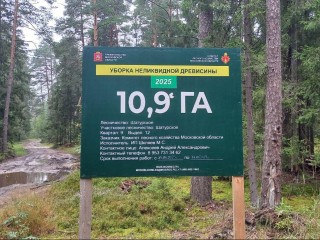Возле Кобелева продолжают очищать лес от сухостоя