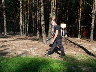 Лесопарк «Волкуша» обработали от клещей