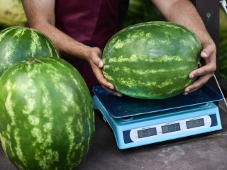 Где купить арбузы и дыни в Истре