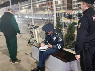 В аэропортах Подмосковья начались облавы на «зазывал» на такси