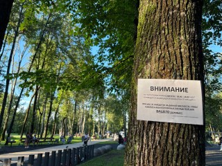 Жителей Солнечногорска просят воздержаться от прогулок в парке 6 августа