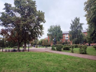 Аномальные холода продержатся в Подмосковье до конца августа