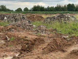 В Раменском судят бизнесмена, который нанес природе ущерб на ₽163 млн