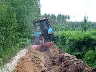 В лесных массивах Орехово-Зуева обустроили 160 км противопожарных барьеров