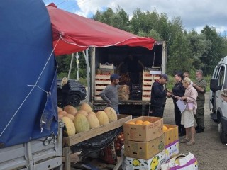 В Орехово-Зуеве пресекли нелегальную торговлю дынями и арбузами