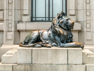 В Клину установят памятник в честь львенка Тайсона